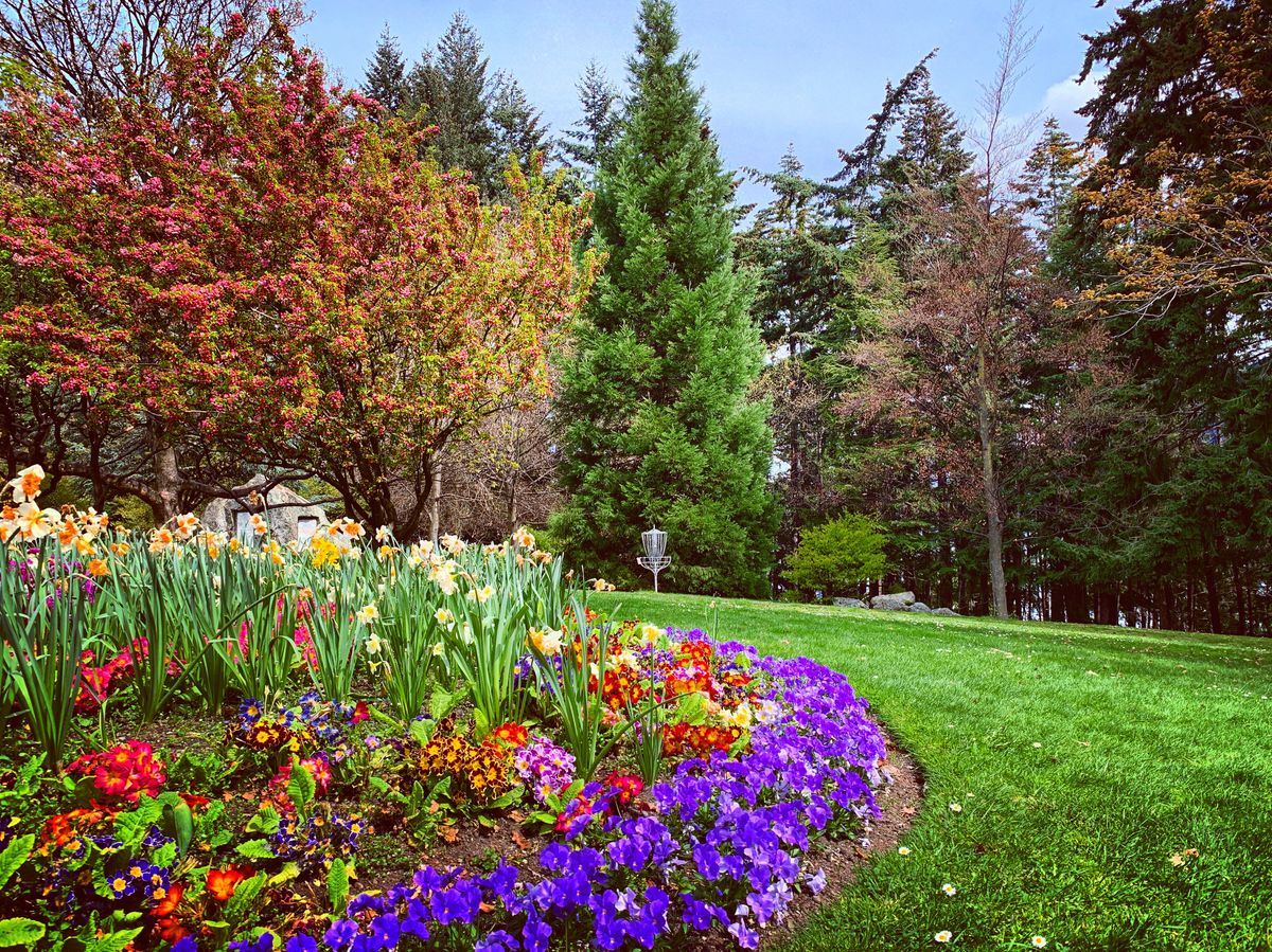 Queenstown Gardens in New Zealand