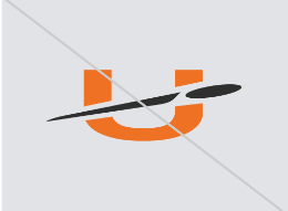 UDisc stretched logo