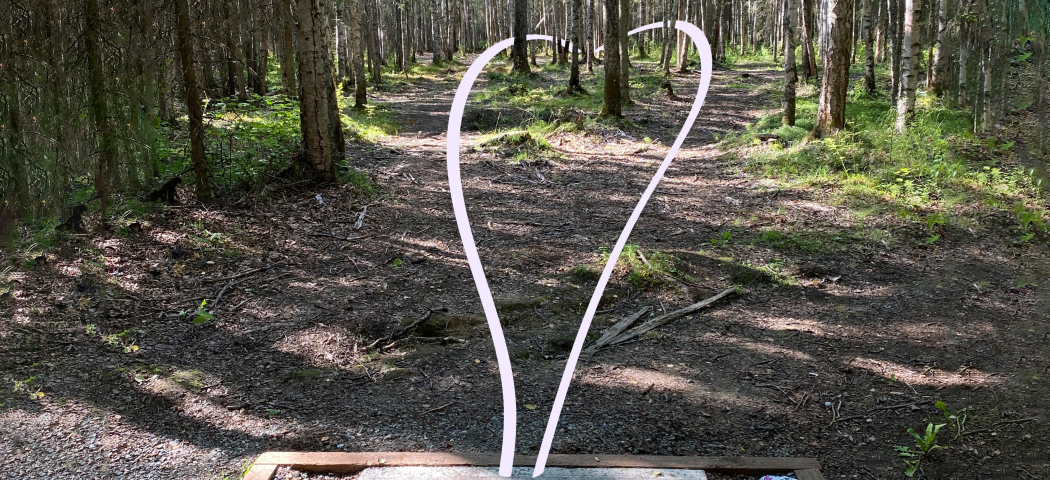 Davis Park DGC in Anchorage, Alaska