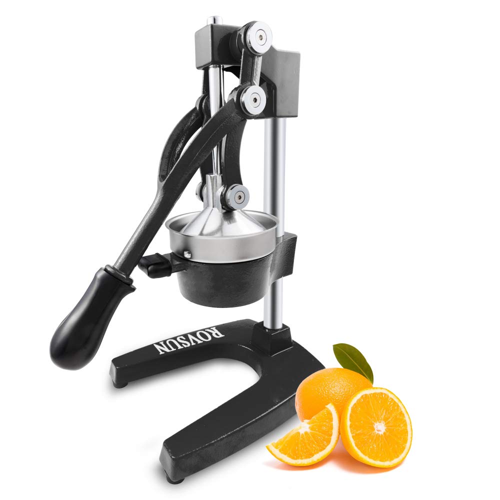 best juicer 2023