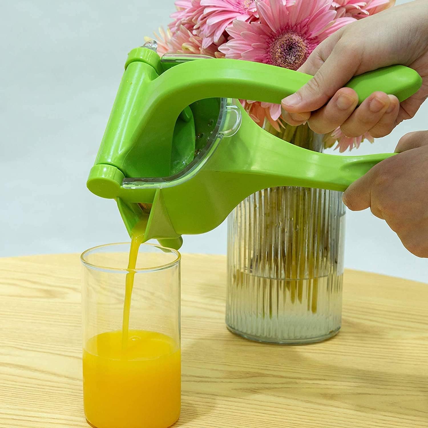 hand juicer