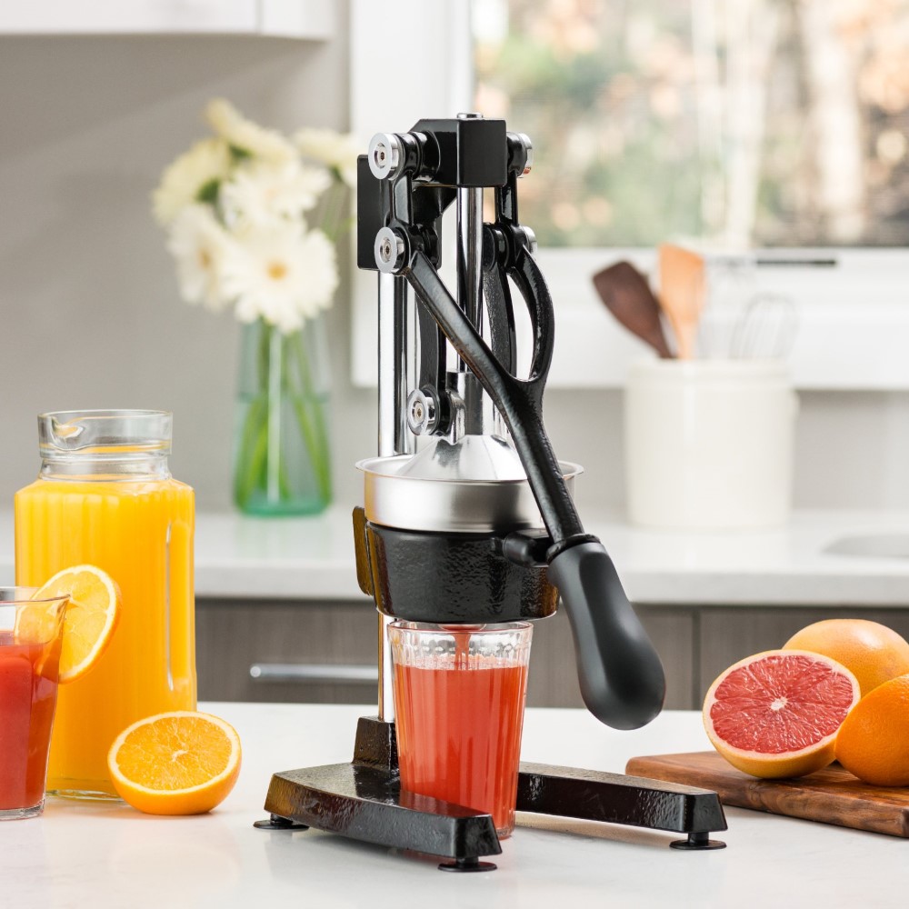 fruit juicer