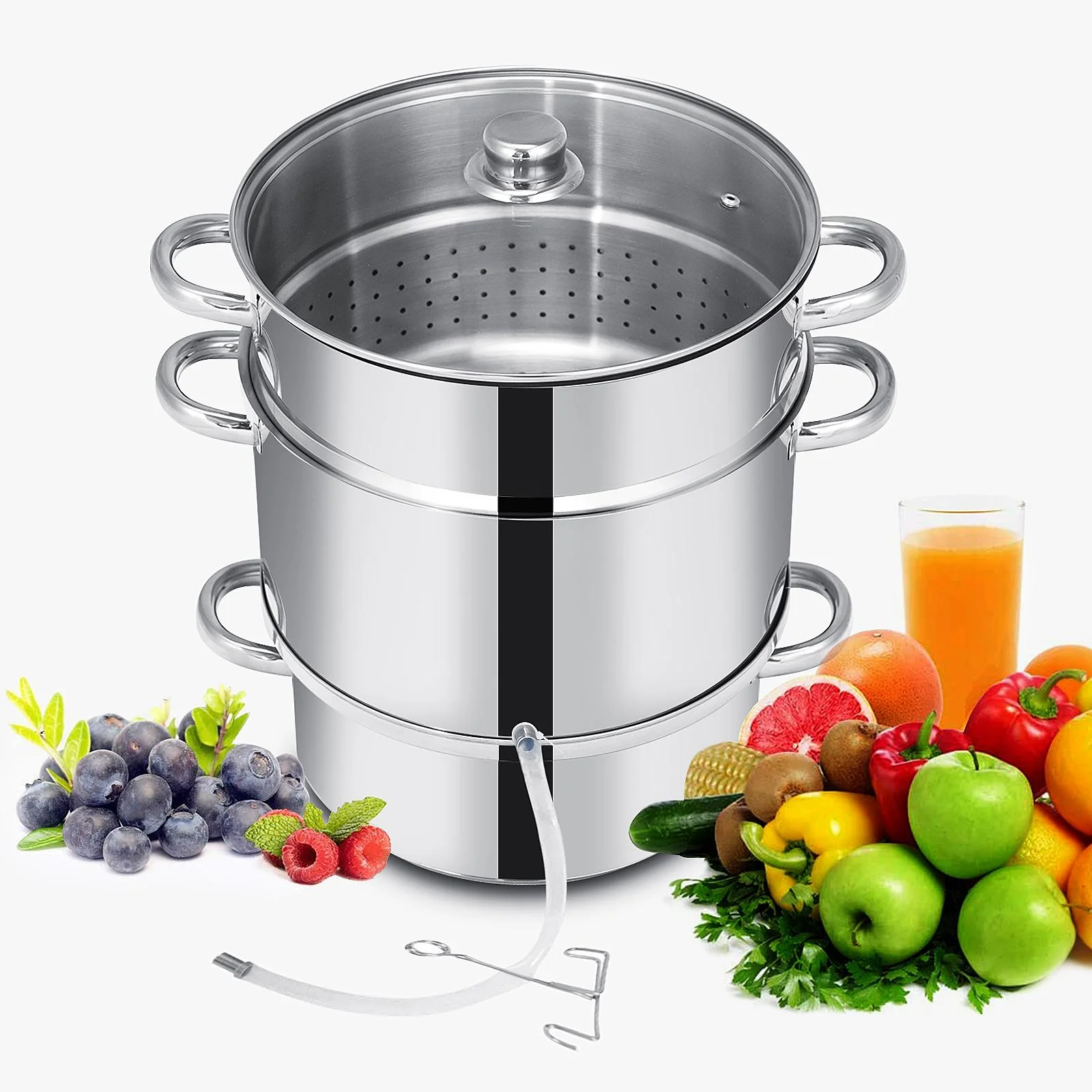 steam juicer